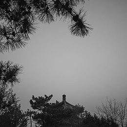 《寂静岭2：重制版》开发者没有太多权限进行创新